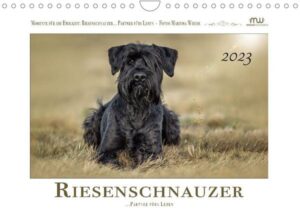 Riesenschnauzer - Partner fürs Leben (Wandkalender 2023 DIN A4 quer)