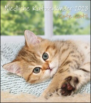 Niedliche Katzenkinder 2023 - Wand-Kalender - Tier-Kalender - 30x34