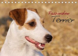 Faszination Terrier (Tischkalender 2023 DIN A5 quer)