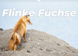 Flinke Füchse (Wandkalender 2023 DIN A3 quer)