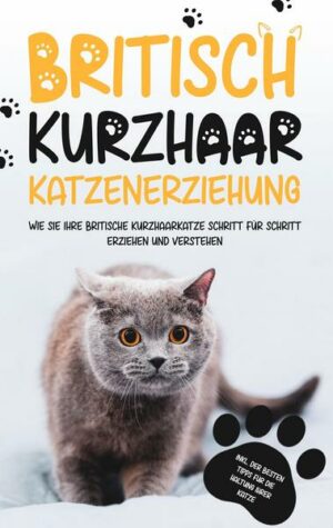 Britisch Kurzhaar Katzenerziehung: Wie Sie Ihre britische Kurzhaarkatze Schritt für Schritt erziehen und verstehen - inkl. der besten Tipps für die Ha