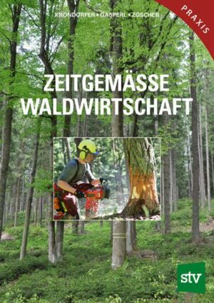 Zeitgemässe Waldwirtschaft