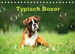 Typisch Boxer (Tischkalender 2023 DIN A5 quer)