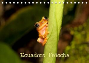 Ecuadors Frösche (Tischkalender 2023 DIN A5 quer)