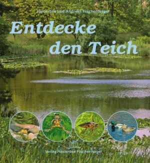 Entdecke den Teich