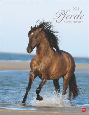 Pferde Classics Posterkalender 2023