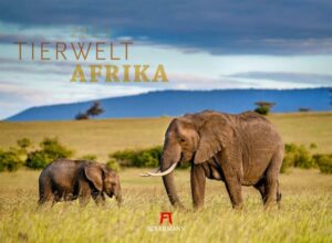 Tierwelt Afrika Kalender 2023