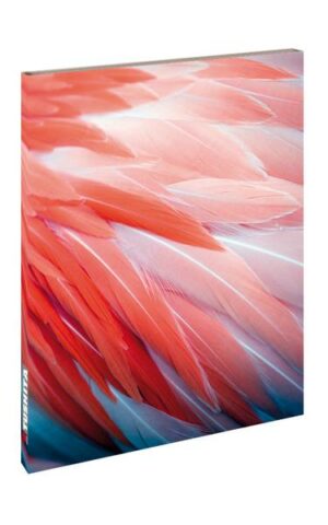 Flamingo Feathers