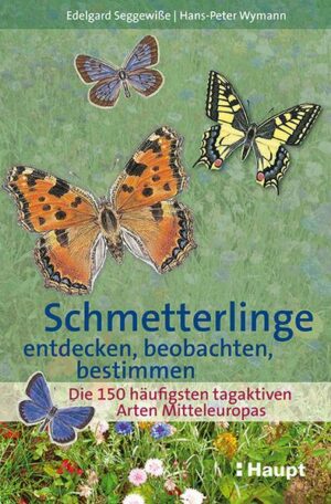 Schmetterlinge entdecken