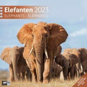 Elefanten Kalender 2023 - 30x30