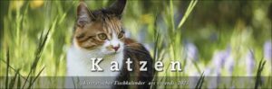 Tischkalender Katzen 2023