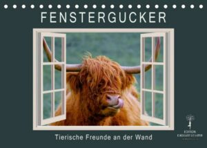 Fenstergucker - tierische Freunde an der Wand (Tischkalender 2023 DIN A5 quer)