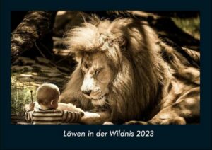 Löwen in der Wildnis 2023 Fotokalender DIN A4