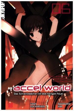 Accel World - Novel 06
