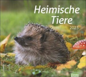 Times&more Heimische Tiere Bildkalender 2023