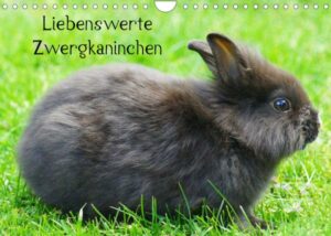 Liebenswerte Zwergkaninchen (Wandkalender 2023 DIN A4 quer)