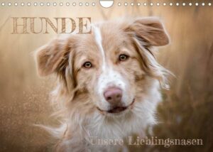 Hunde - Unsere Lieblingsnasen (Wandkalender 2023 DIN A4 quer)