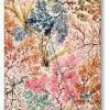 2023 Anemone William Kilburn Midi 12M. Horizontal