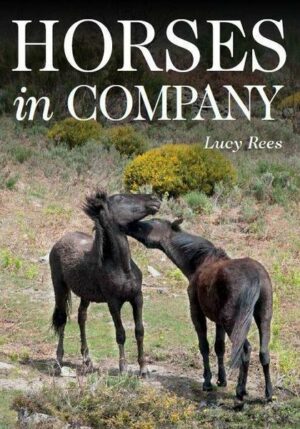 Horses in Company