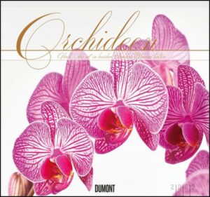 Orchideen 2023 - DUMONT Wandkalender - mit den wichtigsten Feiertagen - Format 38