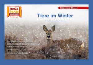 Kamishibai: Tiere im Winter