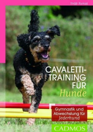 Cavalettitraining für Hunde