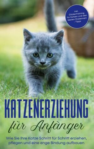 Katzenerziehung für Anfänger: Wie Sie Ihre Katze Schritt für Schritt erziehen