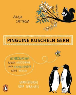 Pinguine kuscheln gern