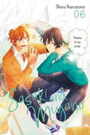Sasaki and Miyano