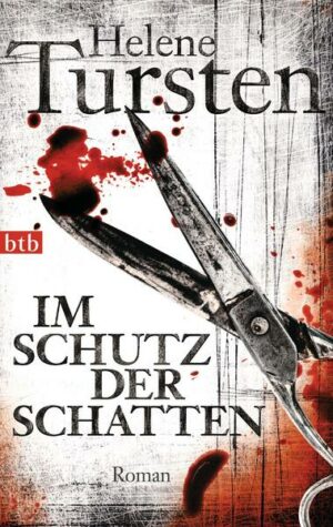 Im Schutz der Schatten / Kriminalinspektorin Irene Huss Bd.10