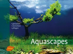 Aquascapes