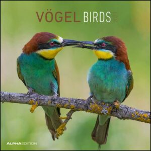 Vögel 2023 - Broschürenkalender 30x30 cm (30x60 geöffnet) - Kalender mit Platz für Notizen - Birds - Bildkalender - Wandkalender - Vogelkalender