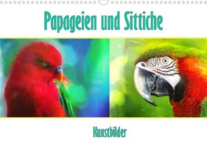 Papageien und Sittiche - Kunstbilder (Wandkalender 2023 DIN A3 quer)