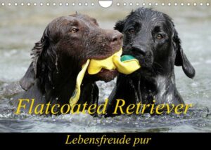 Flatcoated Retriever (Wandkalender 2023 DIN A4 quer)