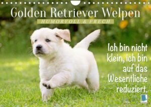 Golden Retriever Welpen: Humorvoll und frech (Wandkalender 2023 DIN A4 quer)