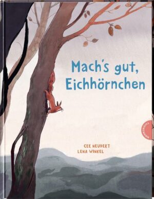 Mach's gut