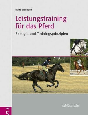 Leistungstraining für das Pferd