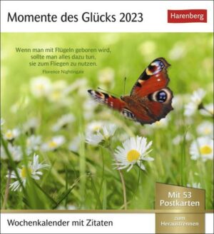 Momente des Glücks Postkartenkalender 2023