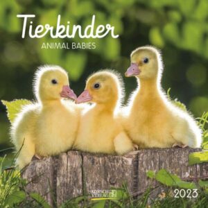 Tierkinder 2023