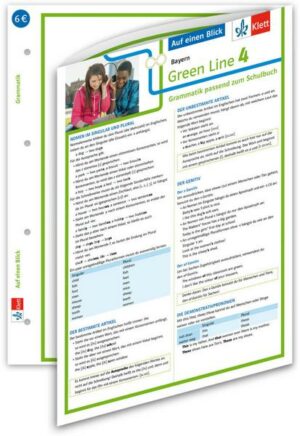 Green Line 4 Bayern Klasse 8 Auf einen Blick. Grammatik passend zum Schulbuch