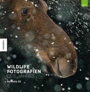 Wildlife Fotografien des Jahres – Portfolio 30