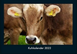 Kuhkalender 2023 Fotokalender DIN A4