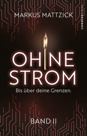 Ohne Strom - Bis über deine Grenzen (Band 2)