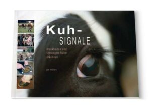 Kuhsignale