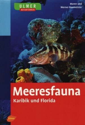 Ulmer Naturführer Meeresfauna Karibik und Florida