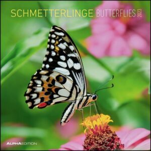 Schmetterlinge 2023 - Broschürenkalender 30x30 cm (30x60 geöffnet) - Kalender mit Platz für Notizen - Butterflies - Bildkalender - Wandkalender