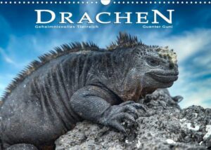 Drachen: Geheimnisvolles Tierreich (Wandkalender 2023 DIN A3 quer)