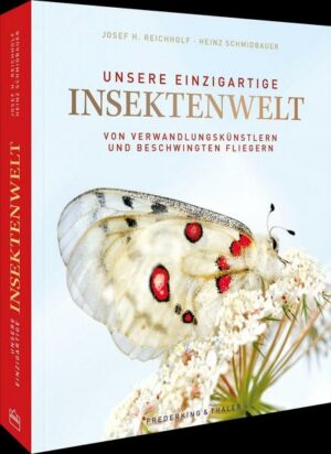 Unsere einzigartige Insektenwelt