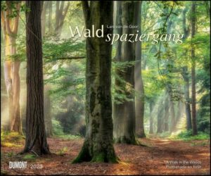 Waldspaziergang 2023 – Fotokunst-Kalender – Querformat 60 x 50 cm – Spiralbindung