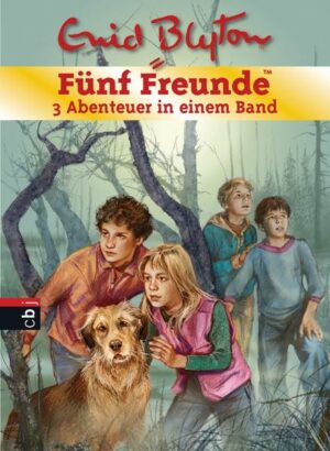 Fünf Freunde - 3 Abenteuer in einem Band Bd.14